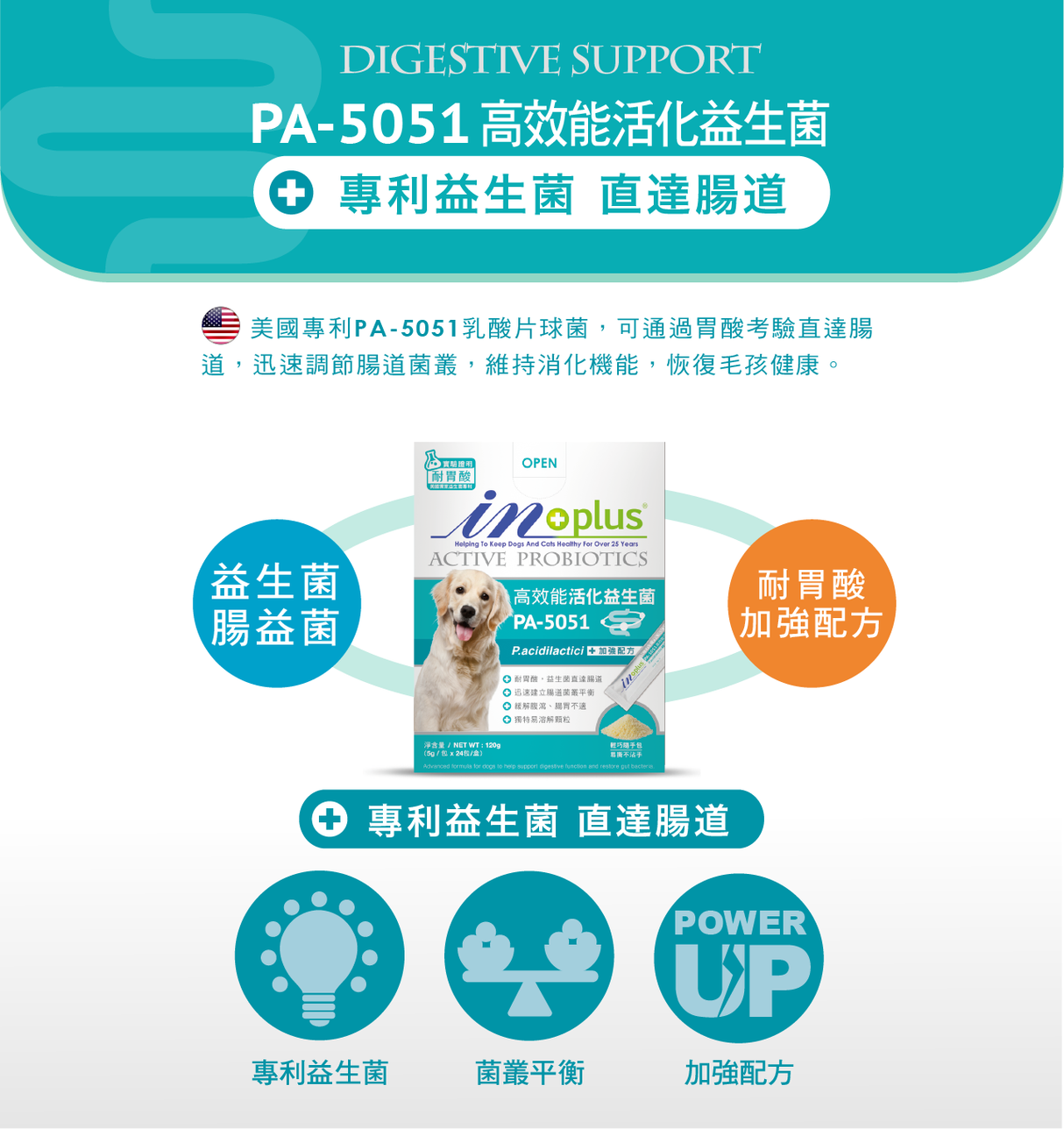 IN+ PLUS PA-5051 高效能活化益生菌 關節保健 骨力補關節心臟強化配方 5g x 24包/盒
