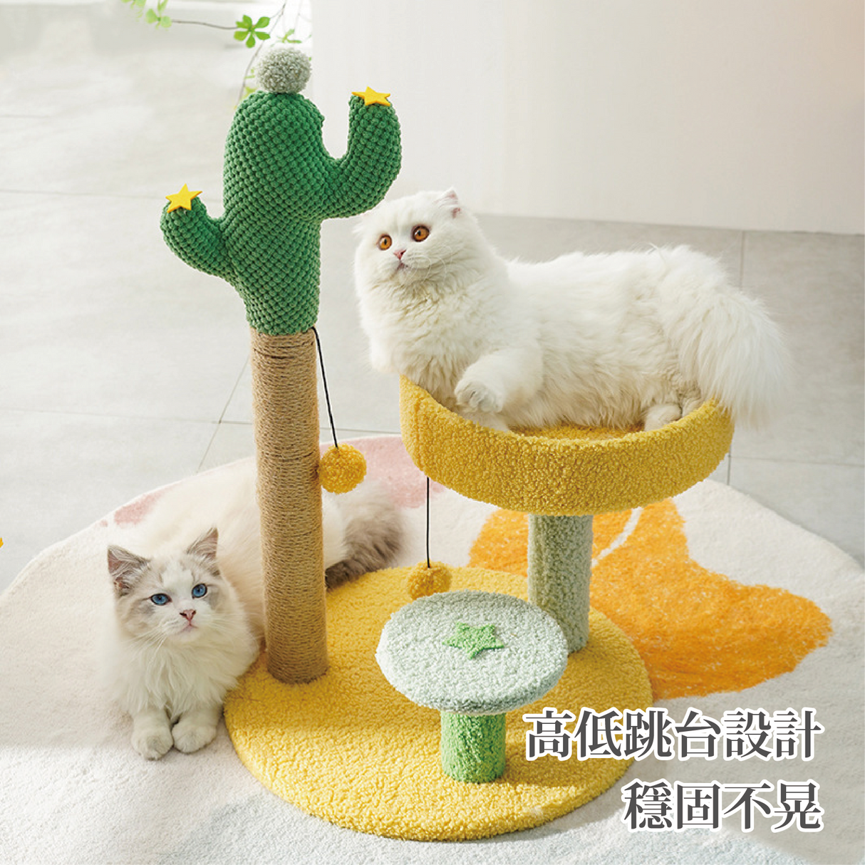 仙人掌貓爬架 貓跳台