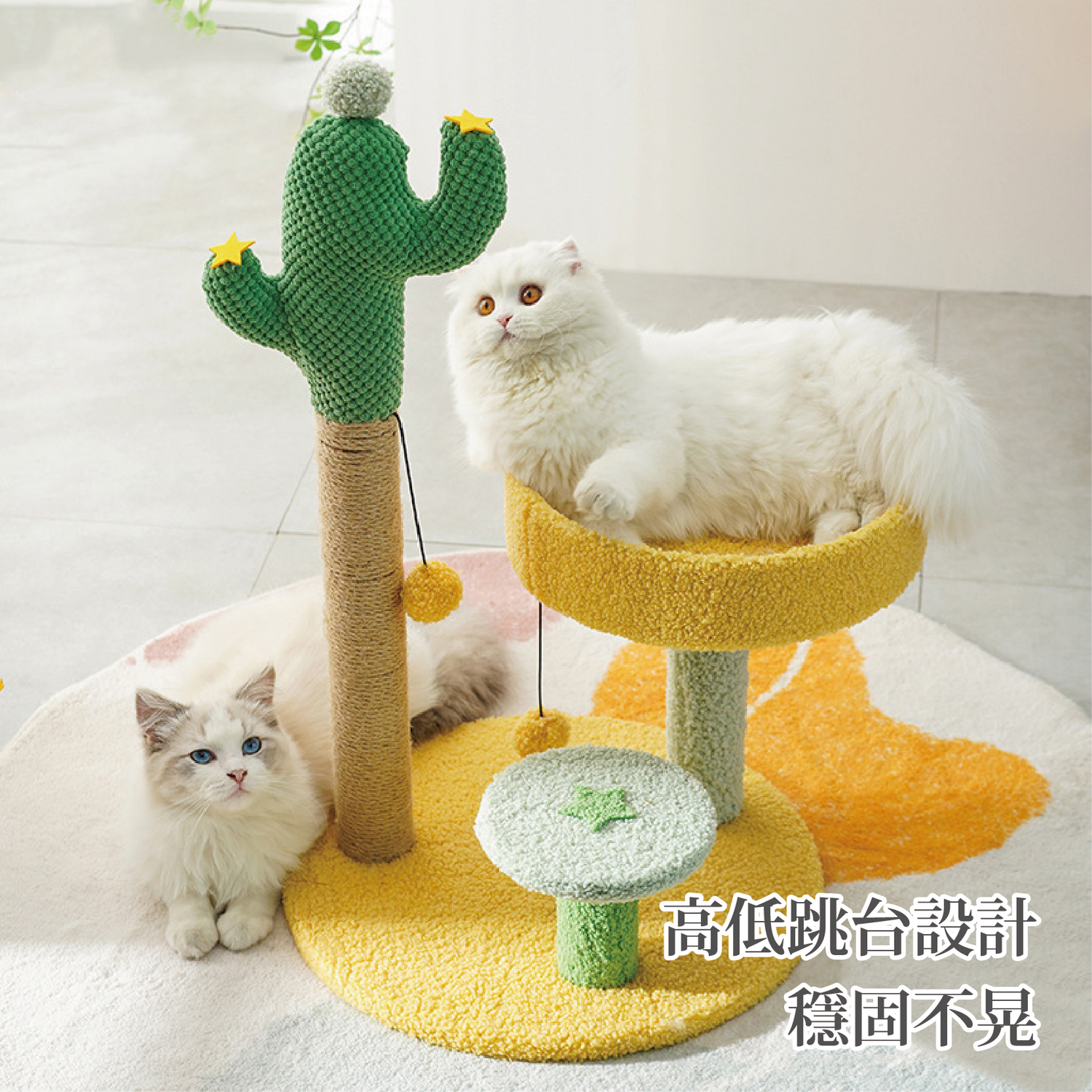 仙人掌貓爬架 貓跳台