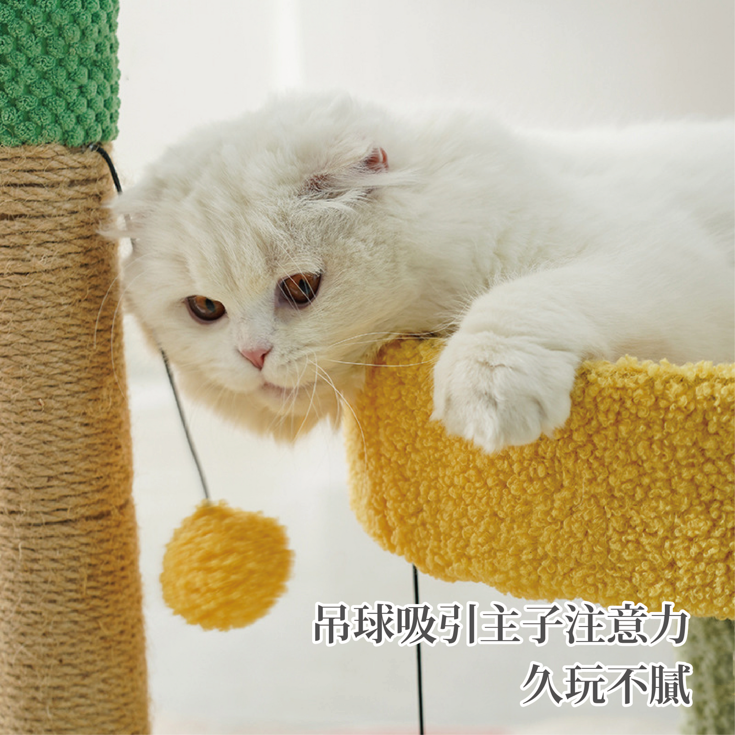 仙人掌貓爬架 貓跳台