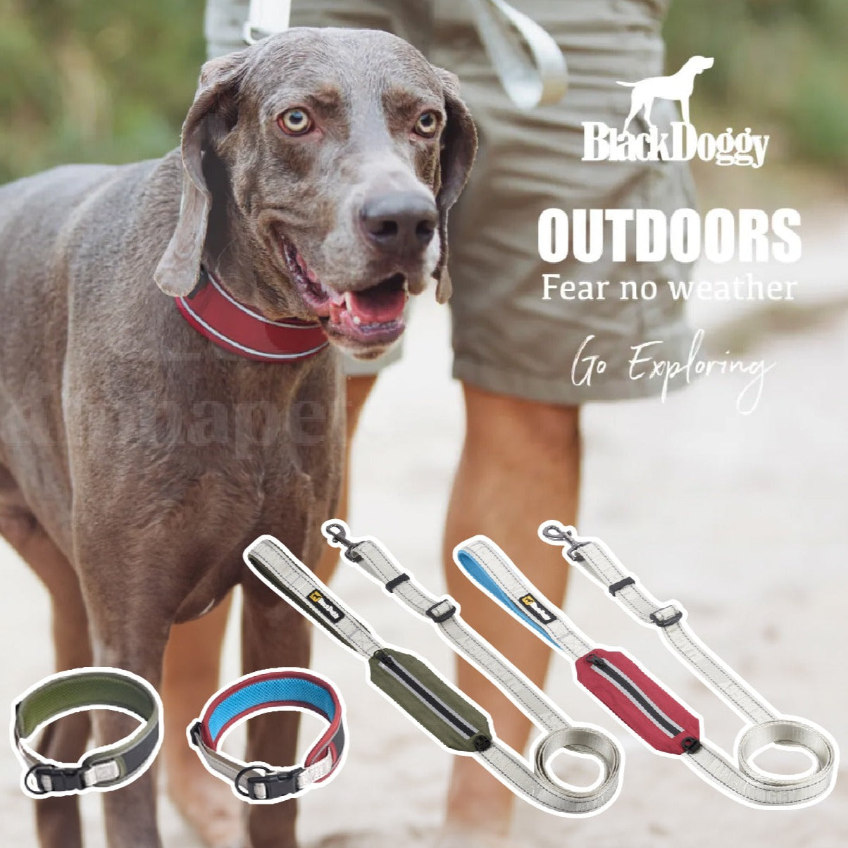 BlackDoggy 寵物戶外反光緹花便攜帶牽繩 / 反光項圈 2色