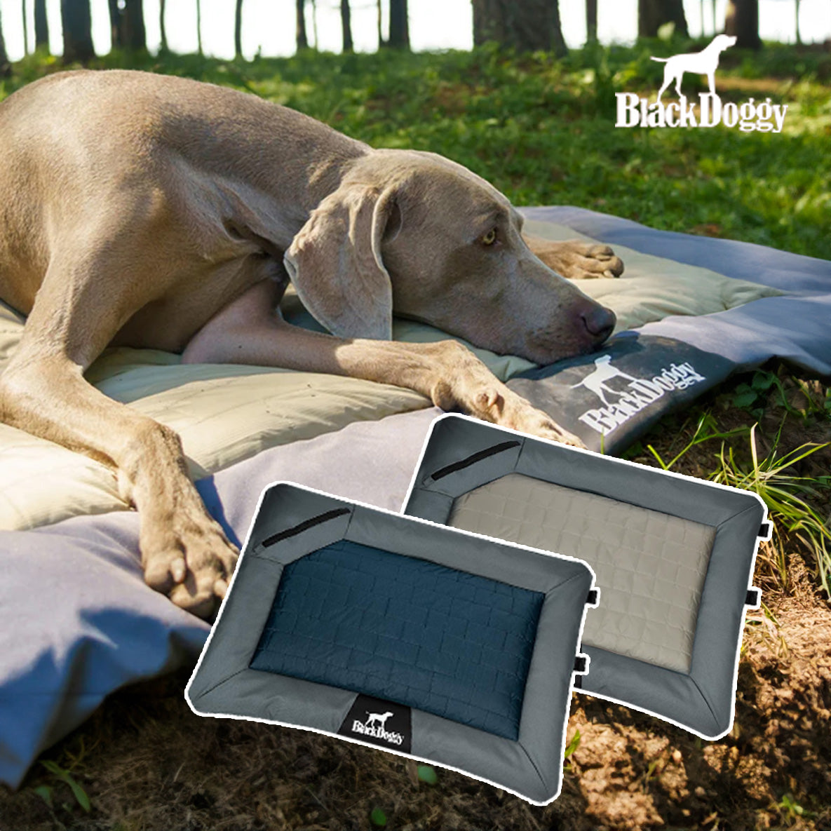 BlackDoggy 寵物戶外營地墊 防水抗汙 寵物睡墊 2色