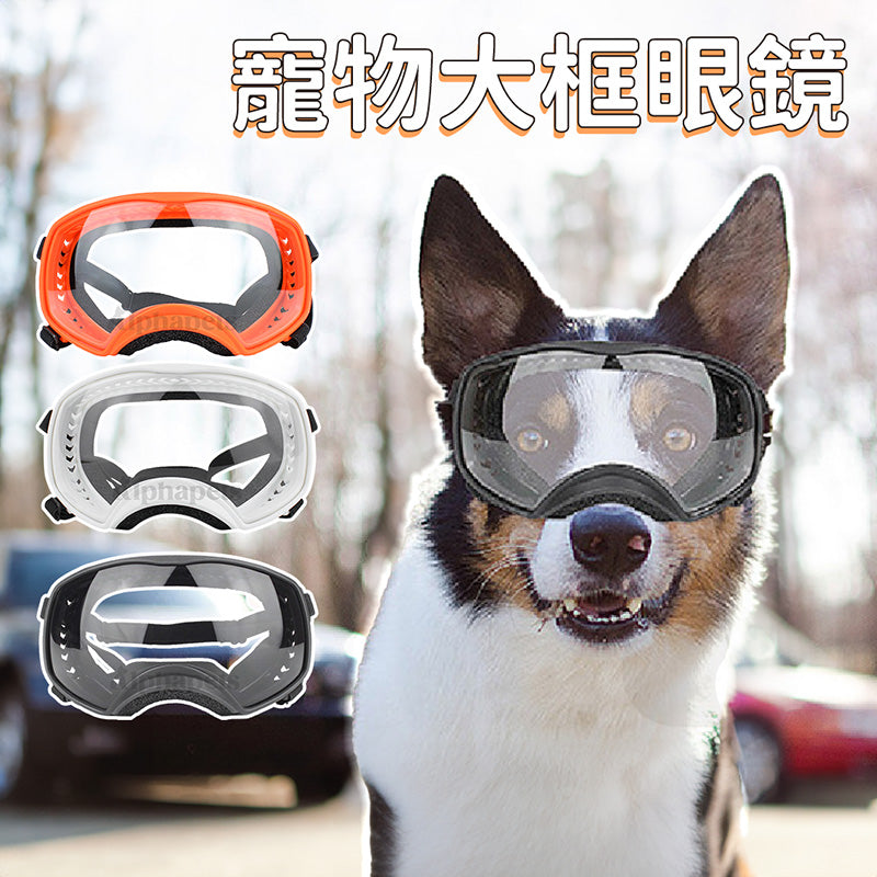 通用型 寵物大框眼鏡 寵物眼睛防護 寵物護目鏡