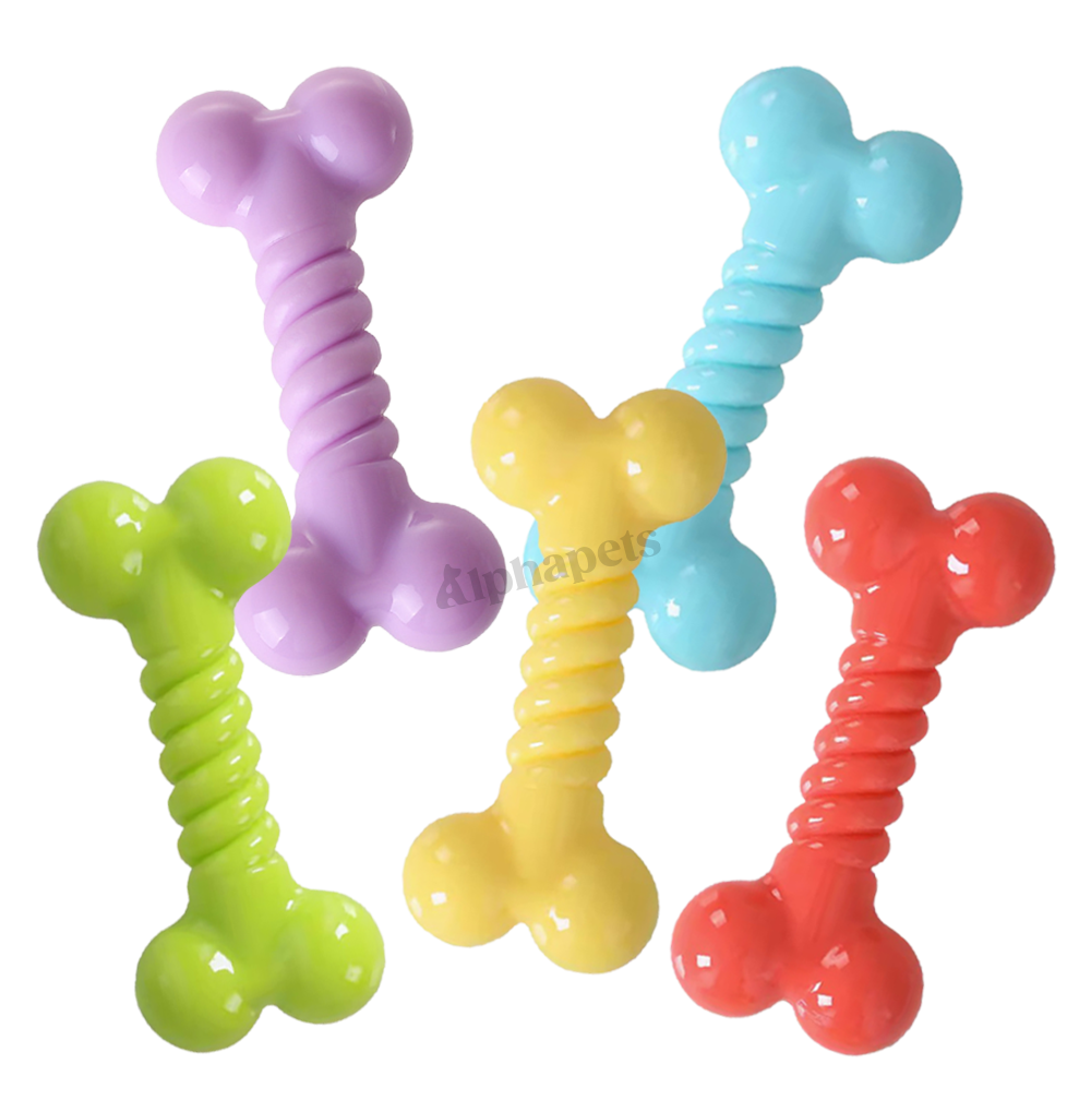 Q-MONSTER 糖果色骨頭 耐咬玩具 狗玩具 5色