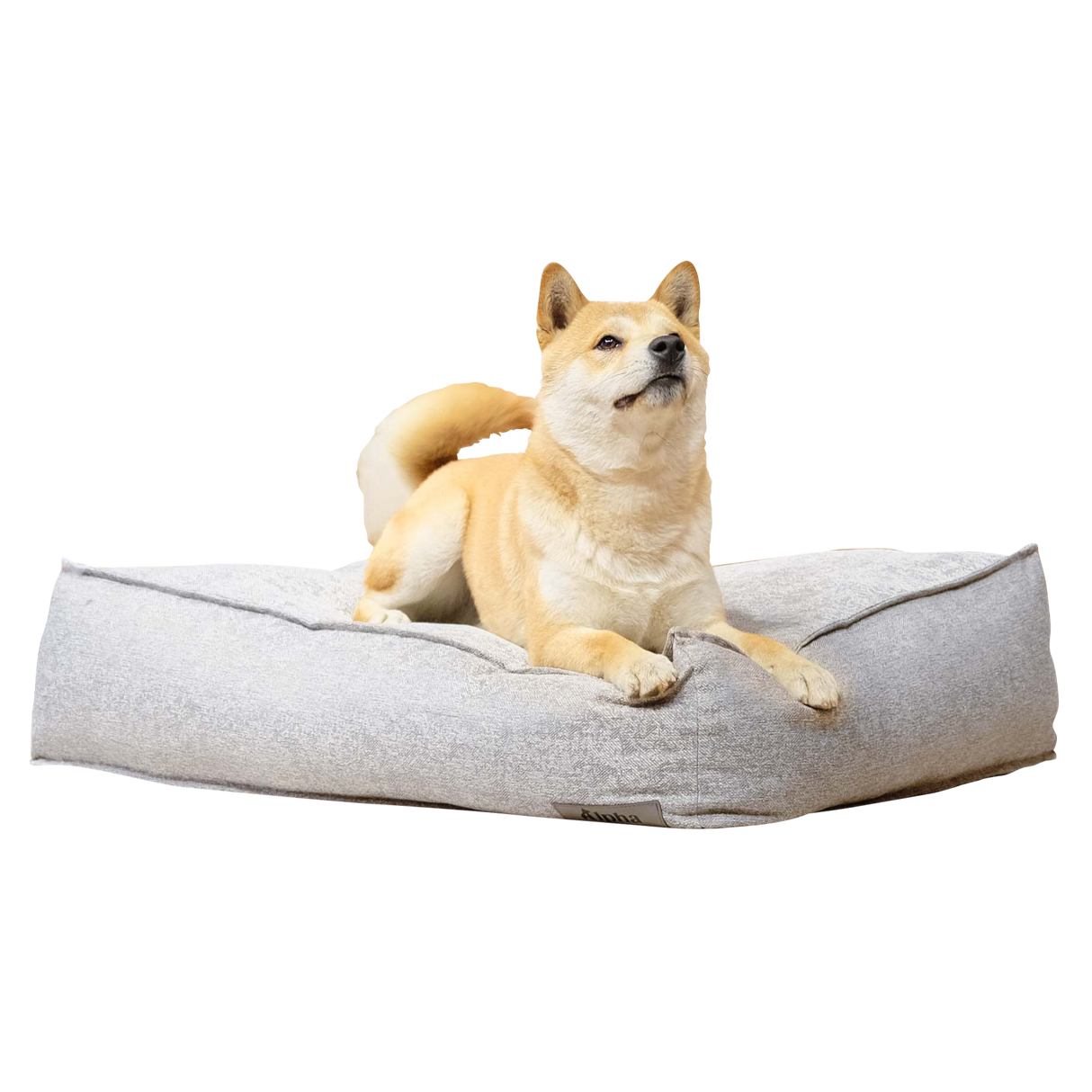 Calla 懶骨頭沙發寵物睡床 寵物睡床 貓窩 狗窩 灰色 M / L