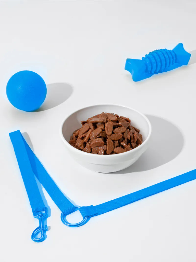 ERIES 伊瑞思 益生元主食餐包 狗餐包 主食餐包 85g