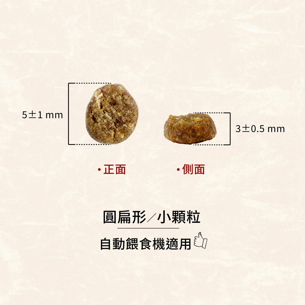 SC星益生趣 Stella & Chewy's 凍乾無穀貓糧2.5磅|生鮮鮭魚/三種魚