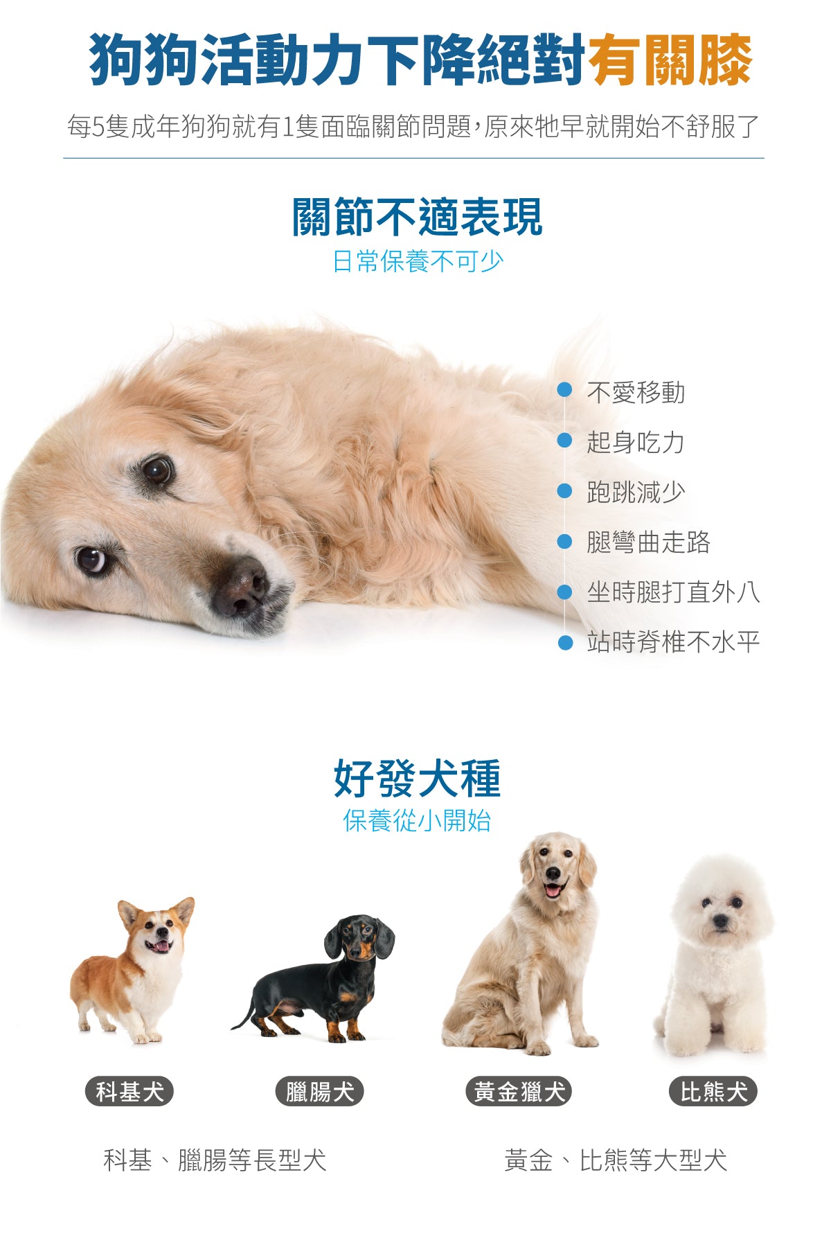 Moreson木入森 犬寶有關膝 狗關節保健 30/ 60入 /盒