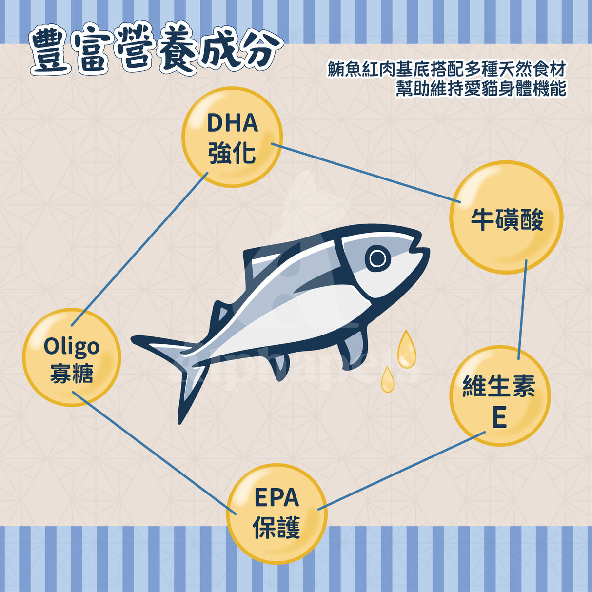 鮪魚將軍 鮪魚紅肉 特級貓罐 貓副食罐 6種口味 170g x 48 罐/箱