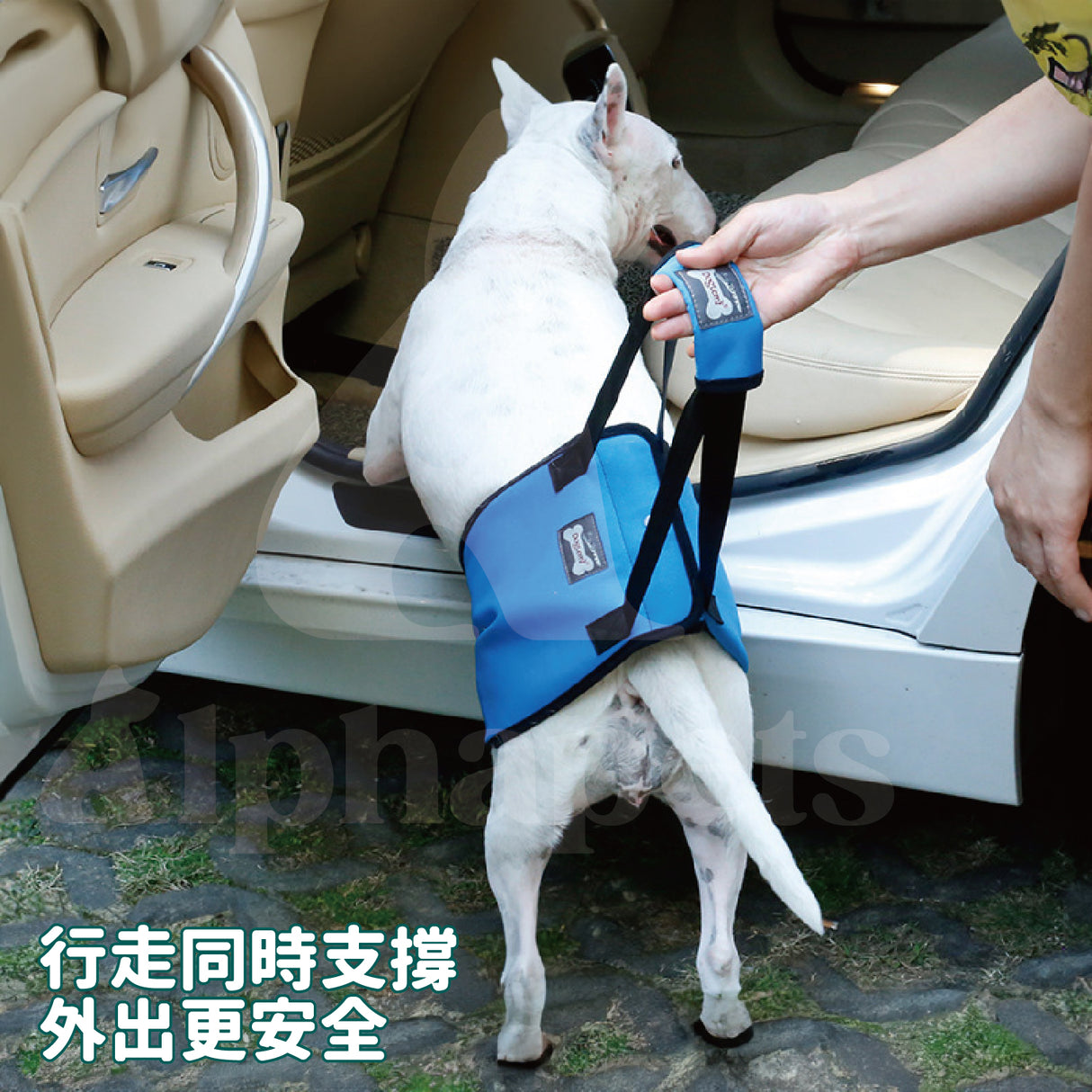 DogLemi多樂米 輔助狗背帶 寵物後腿輔助帶 狗狗輔助背帶