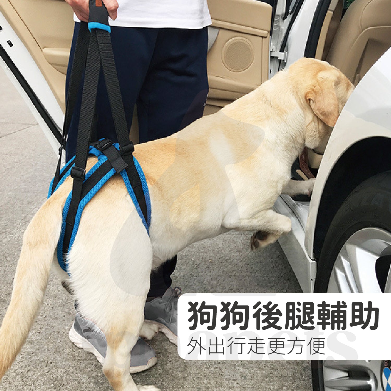 DogLemi多樂米 寵物輔助提帶 後腿輔助帶 狗狗輔助背帶