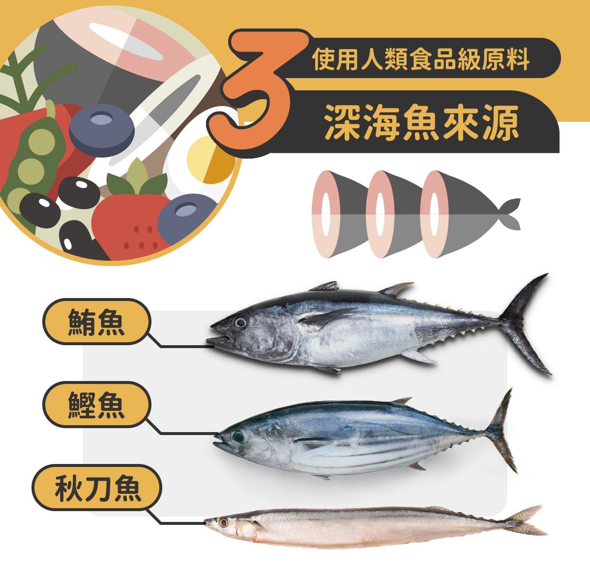 nu4PET陪心寵糧 全齡無穀低敏貓糧 海魚野莓