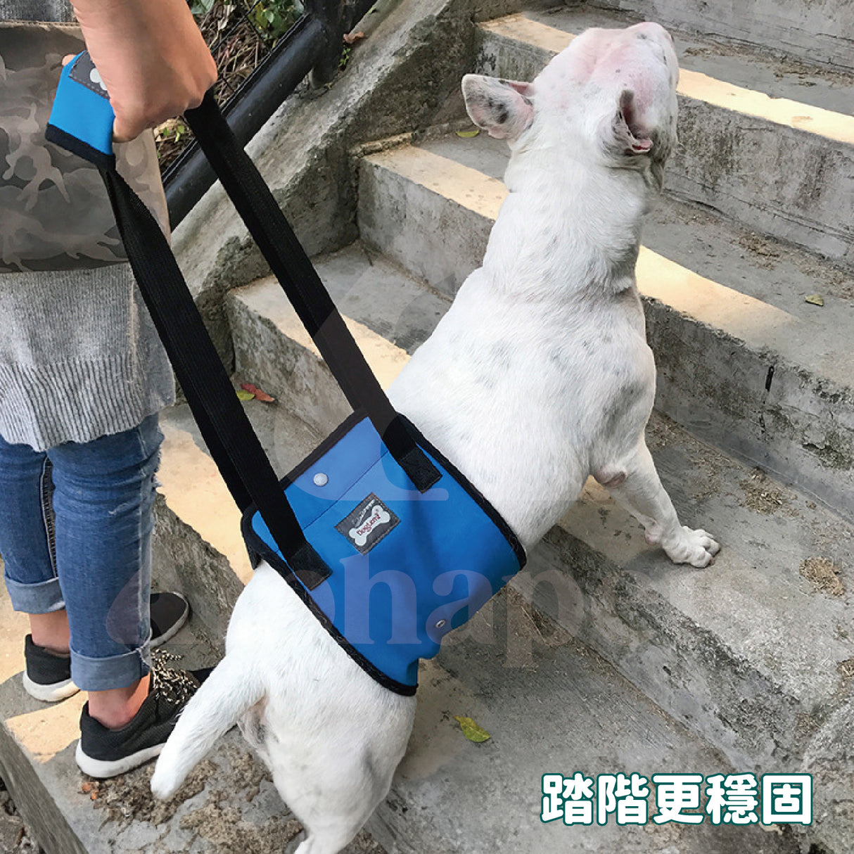 DogLemi多樂米 輔助狗背帶 寵物後腿輔助帶 狗狗輔助背帶