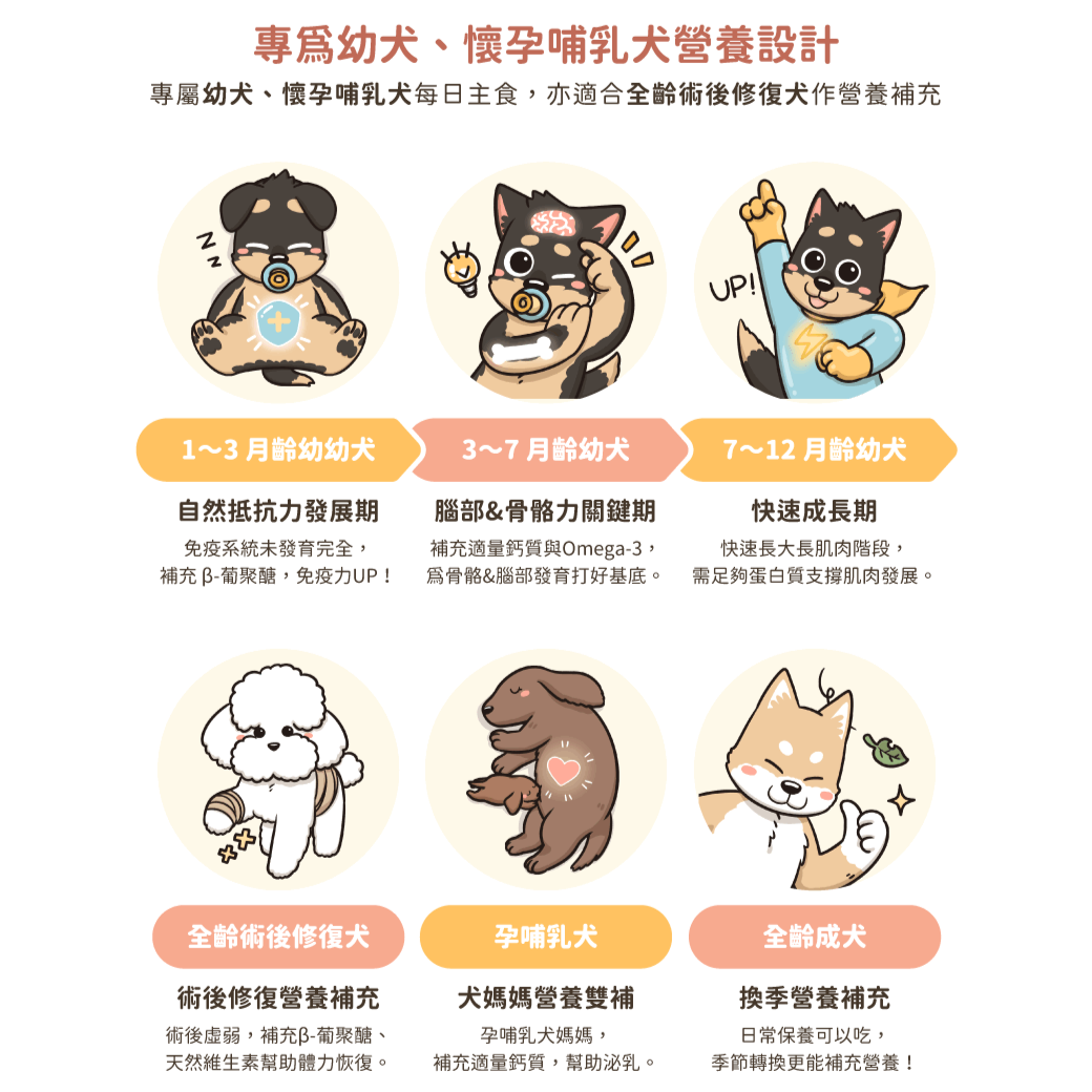 DogCatStar汪喵星球 幼母犬95%營養無膠主食罐 80g/48罐/箱 | 165g/24罐/箱