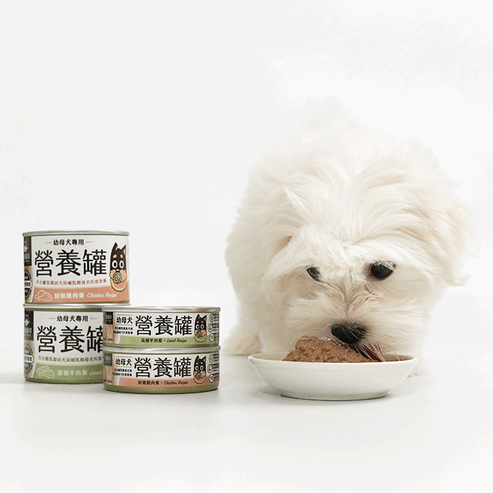 DogCatStar汪喵星球 幼母犬95%營養無膠主食罐 80g/48罐/箱 | 165g/24罐/箱