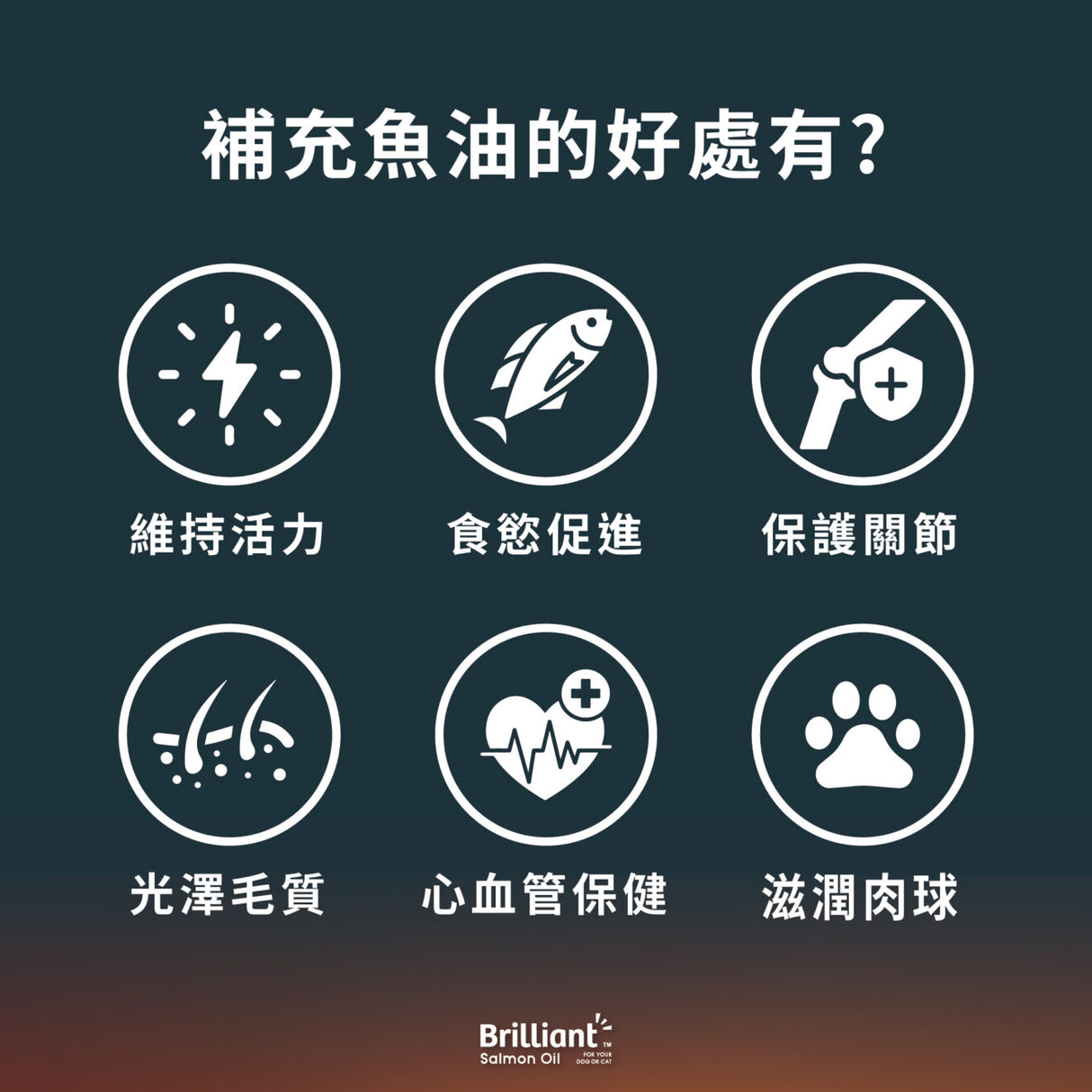 威比純天然 挪威鮭魚油N1 300ml