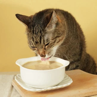 DogCatStar 汪喵星球 益菌PRO+ 綿密肉泥 主食罐 80g