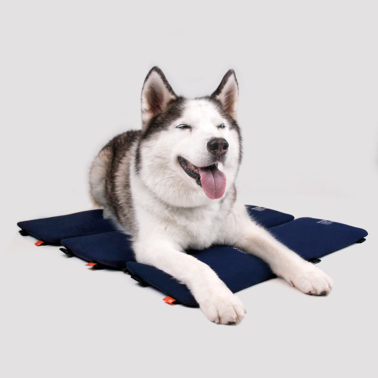 SPUTNIK 斯普尼克 EXPLORE【外出消暑配件】優惠組合