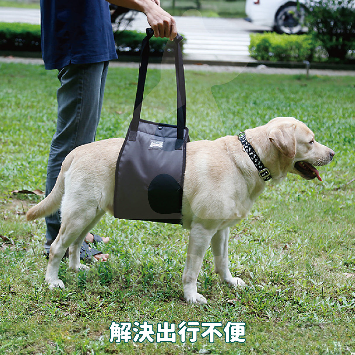 DogLemi多樂米 輔助狗背帶 寵物後腿輔助帶 狗狗輔助背帶
