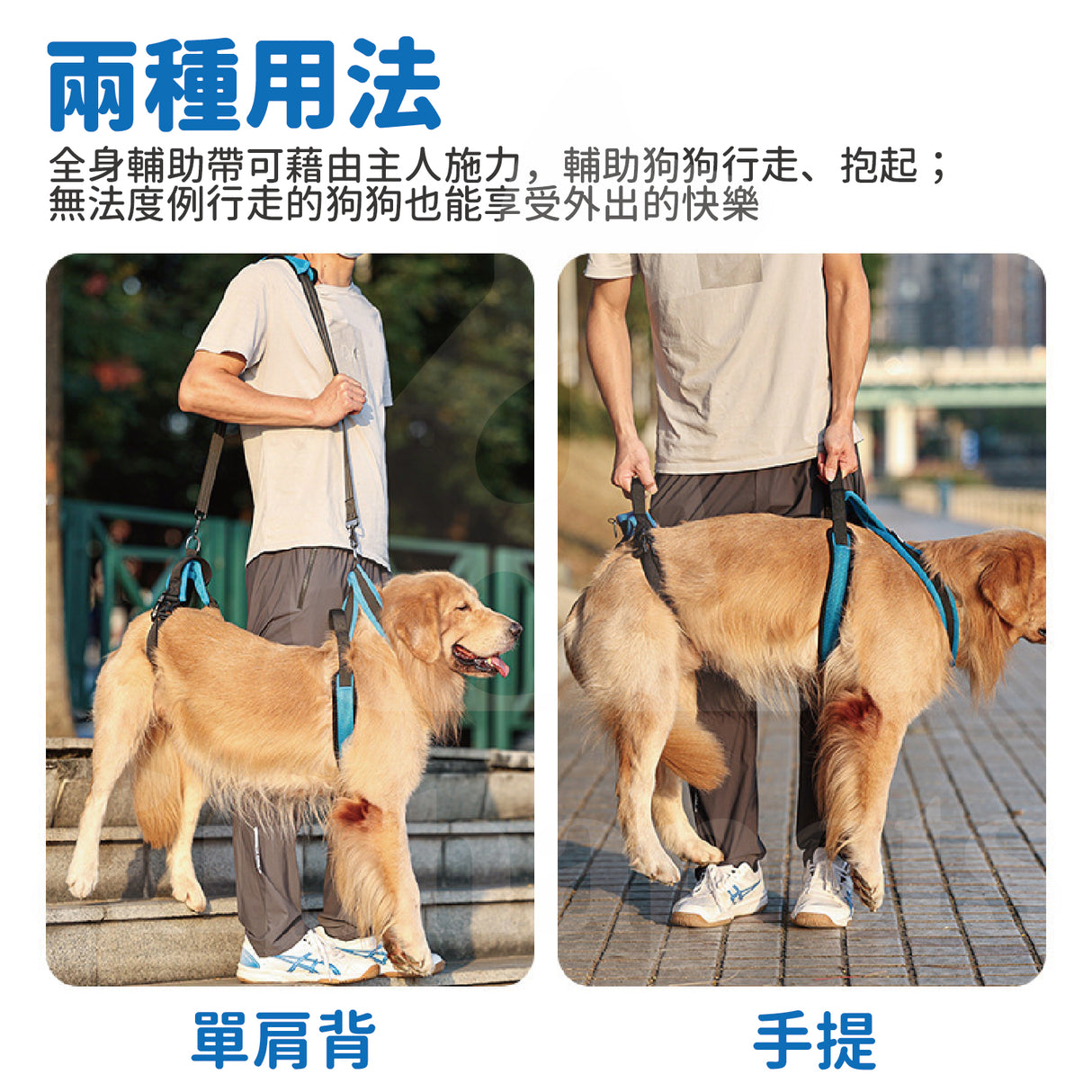 DogLemi多樂米 狗狗全身輔助提帶 輔助狗背袋 寵物輔助背帶 外出輔助 上下樓梯輔助