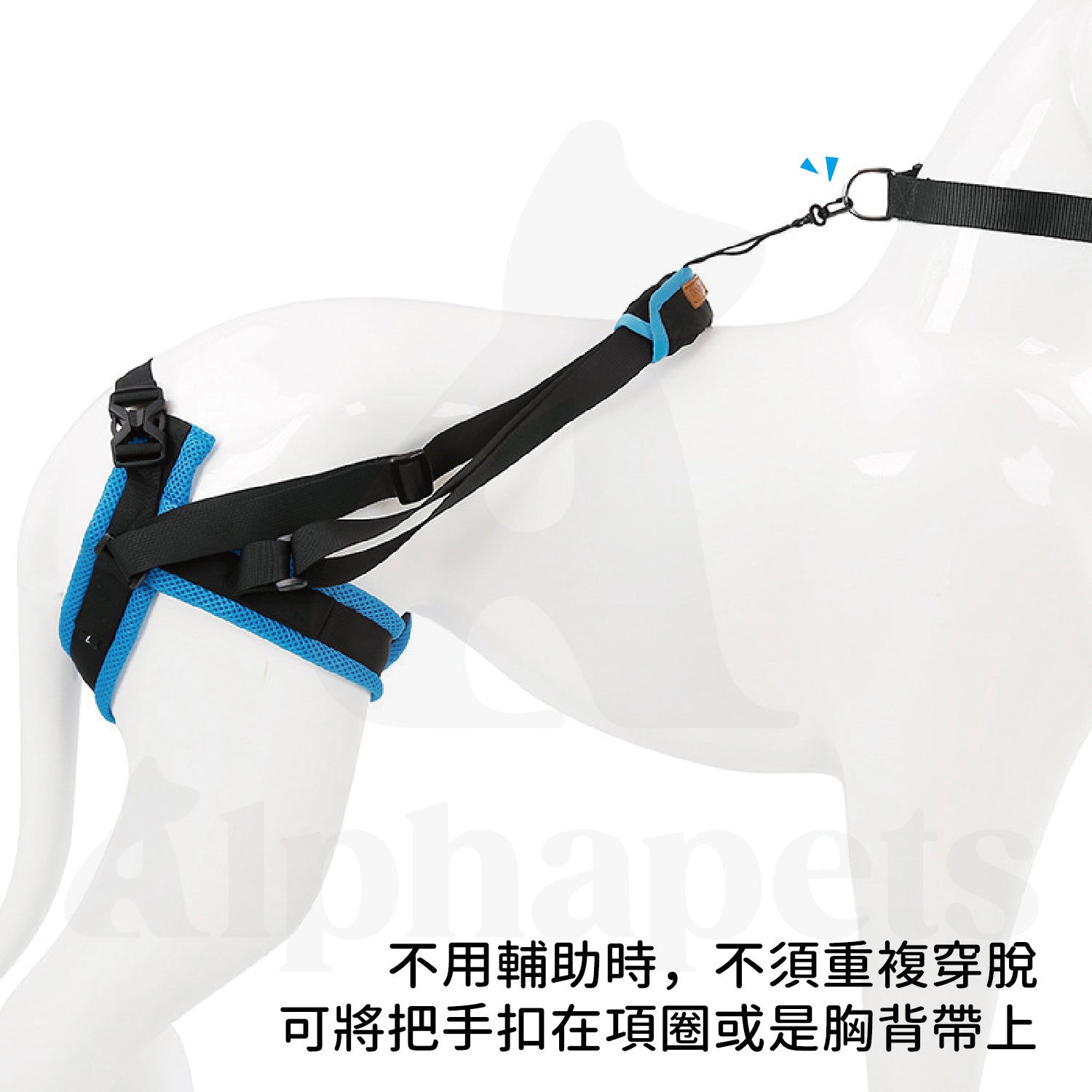 DogLemi多樂米 寵物輔助提帶 後腿輔助帶 狗狗輔助背帶