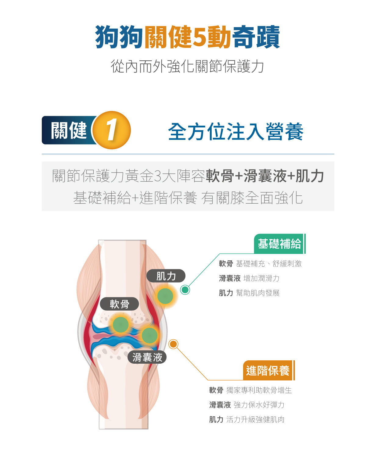 Moreson木入森 犬寶有關膝 狗關節保健 30/ 60入 /盒