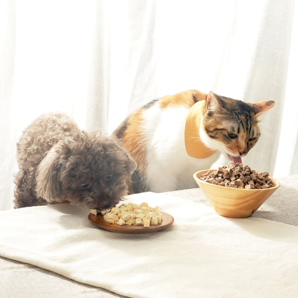 DogCatStar 汪喵星球 冷凍乾燥原肉小零嘴