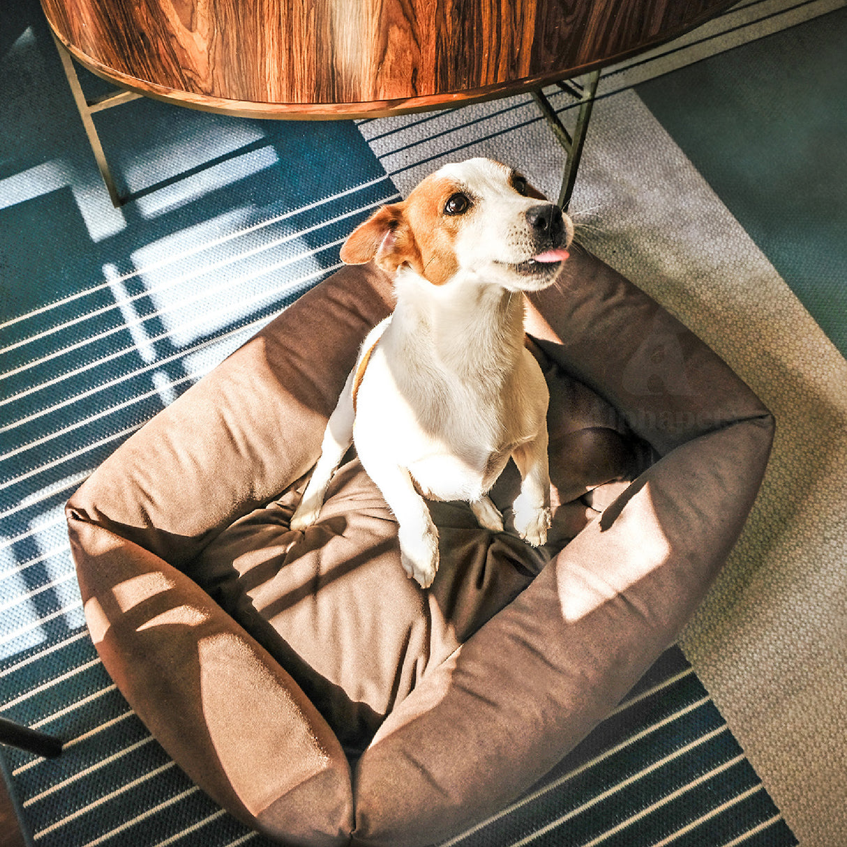 Stella 經典帆布寵物睡床 深棕色 S / M / L