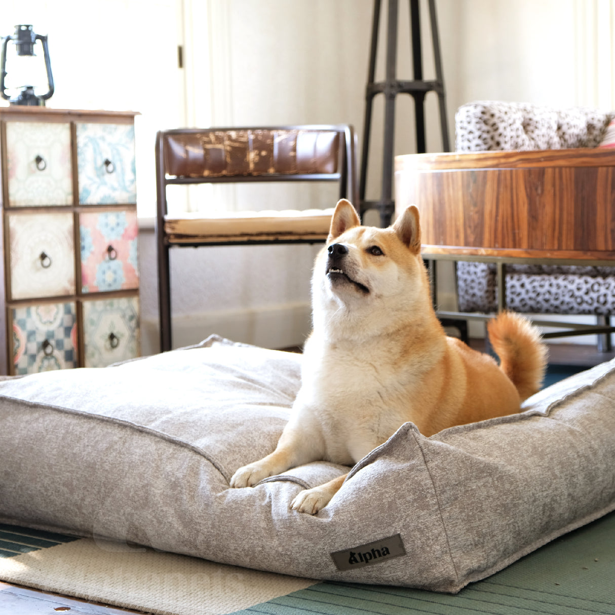 Calla 懶骨頭沙發寵物睡床 寵物睡床 貓窩 狗窩 灰色 M / L