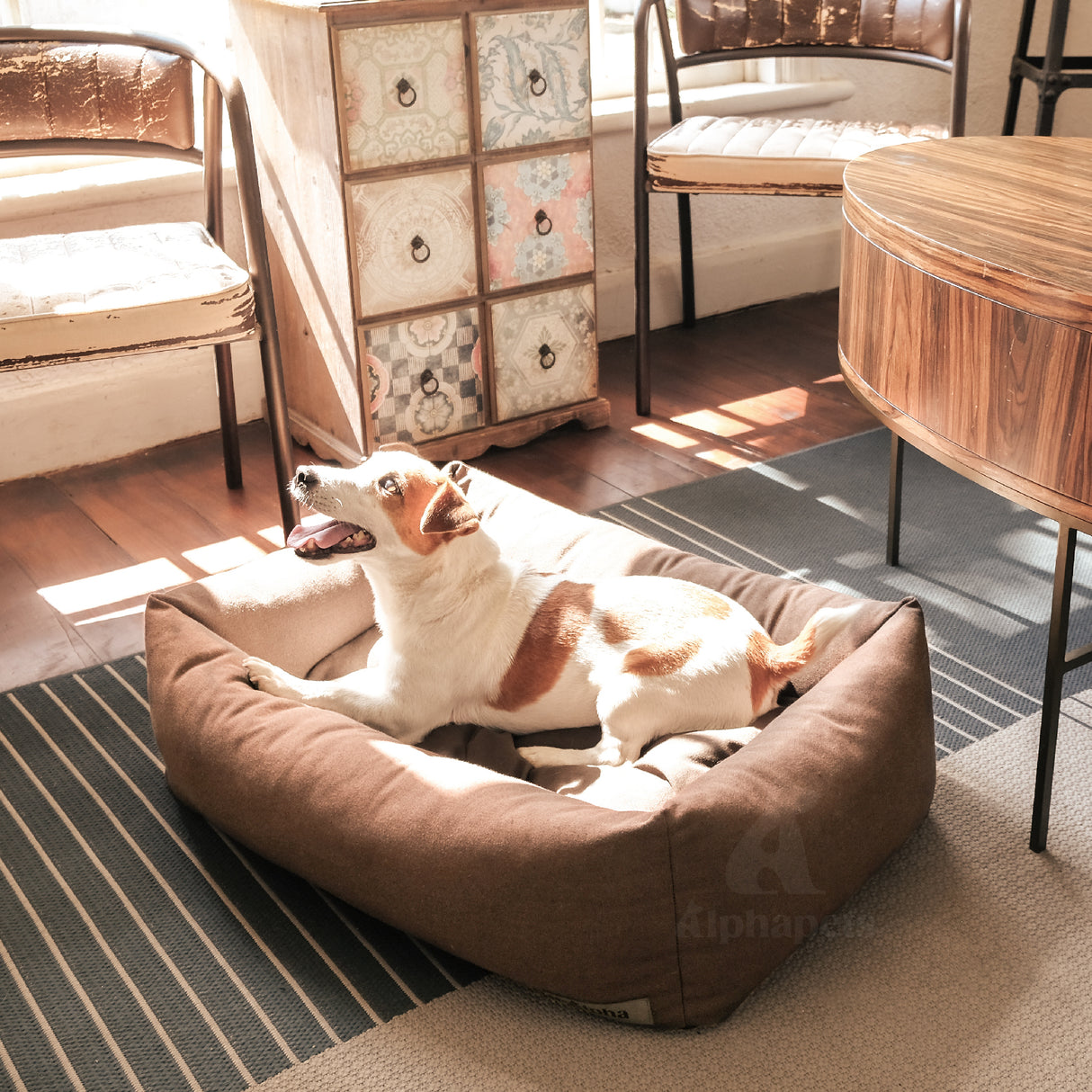 Stella 經典帆布寵物睡床 深棕色 S / M / L