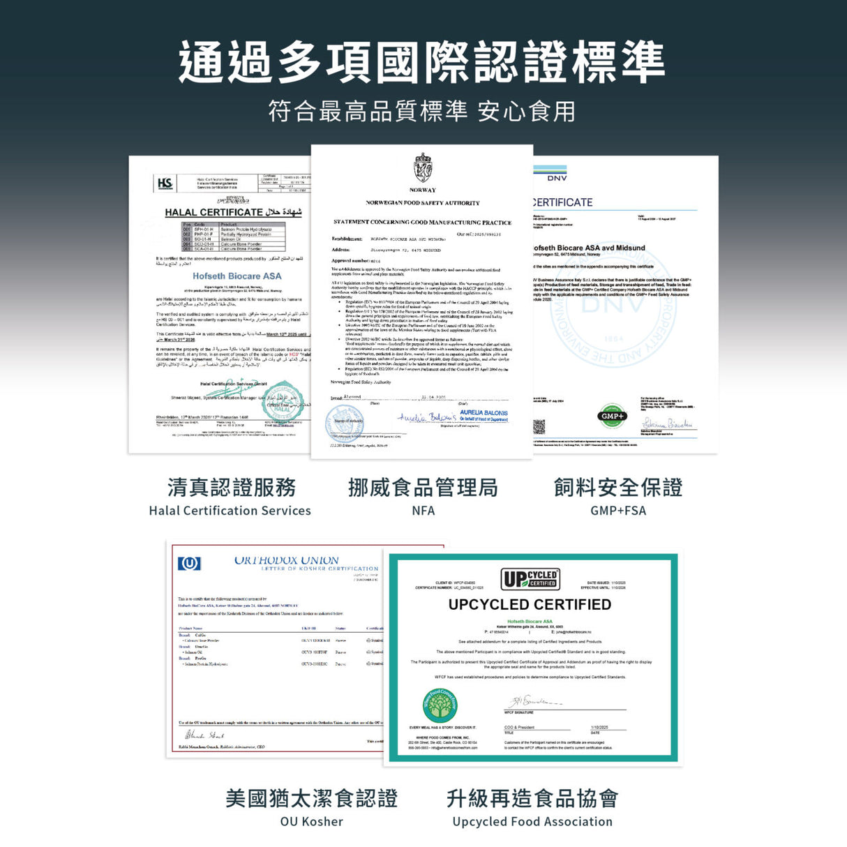 威比純天然 挪威鮭魚油N1 300ml