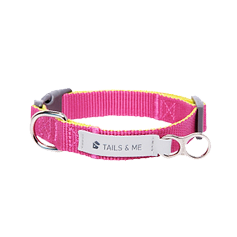 tails&me 尾巴與我 經典尼龍帶項圈 Two-Tone雙色系列 寵物項圈