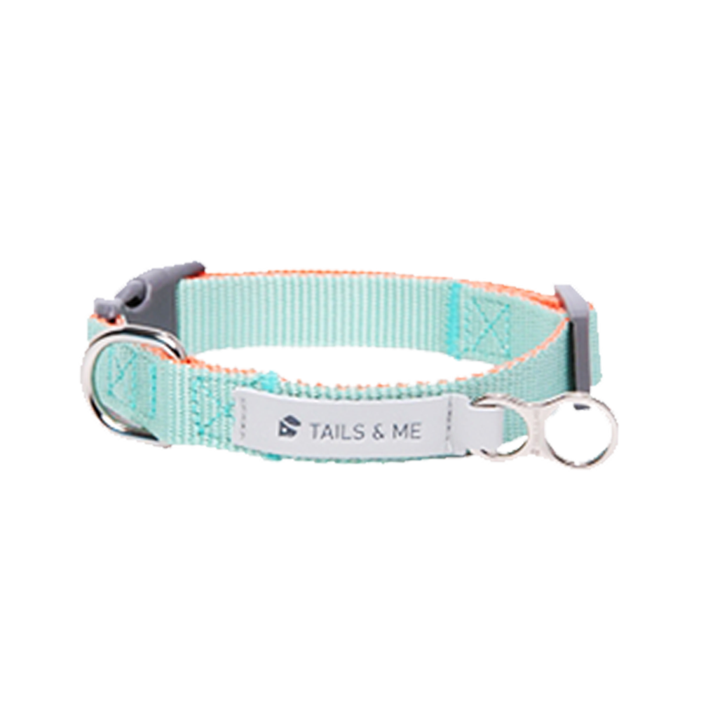 tails&me 尾巴與我 經典尼龍帶項圈 Two-Tone雙色系列 寵物項圈