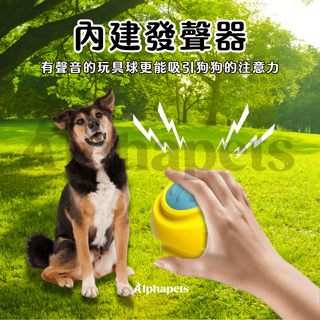 LaRoo 萊諾 假日系列 蹦蹦球 狗狗玩具球 寵物彈力球