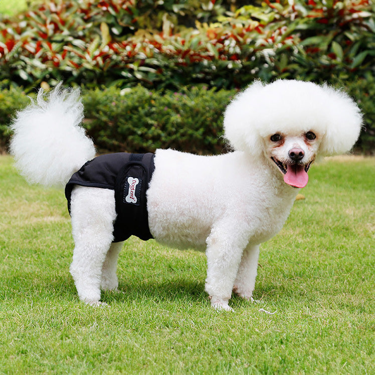 DogLemi 多樂米 寵物生理褲 尿布 母狗專用 寵物尿褲 可水洗 防漏尿