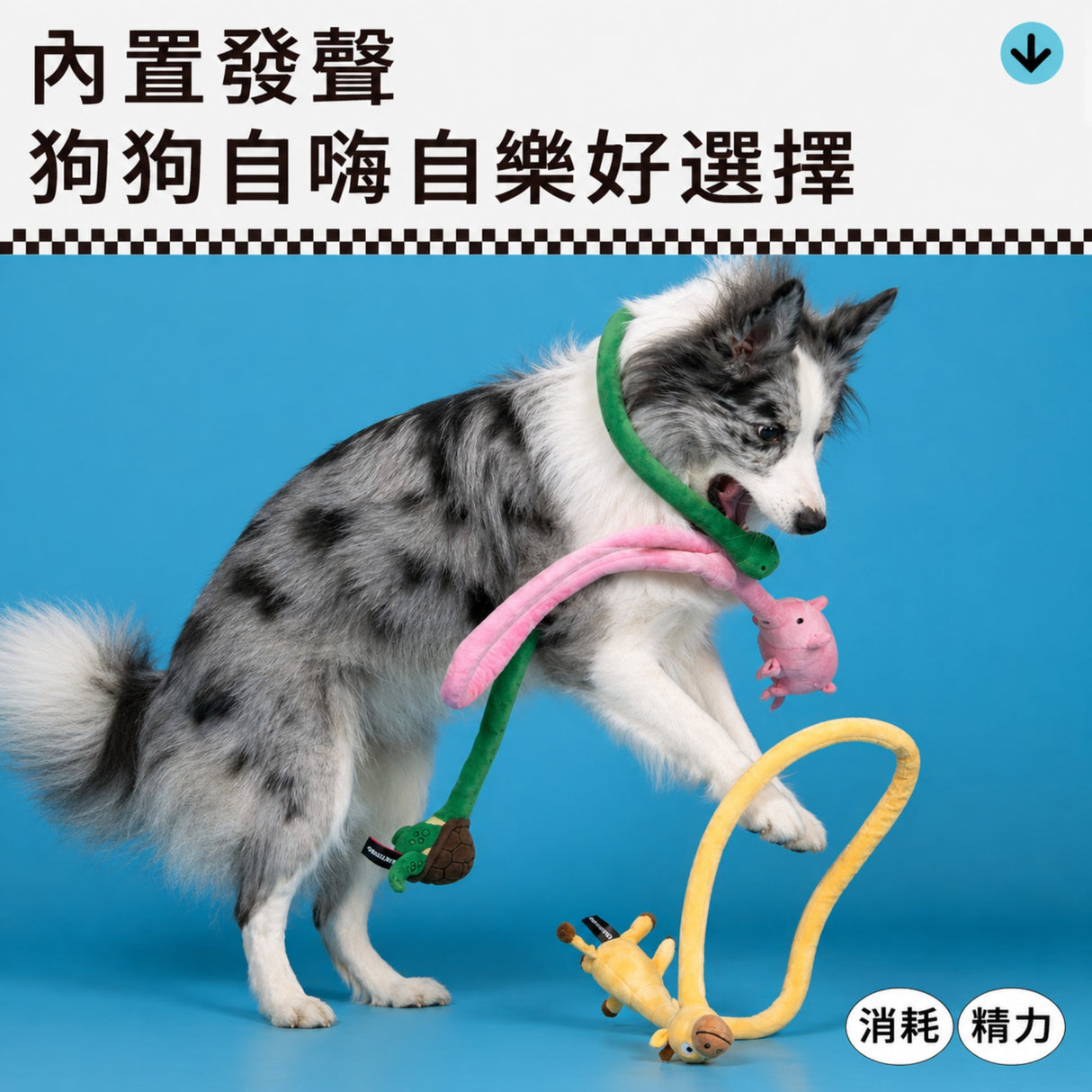 QMONSTER 長長小動物系列 毛絨發聲拔河互動玩具