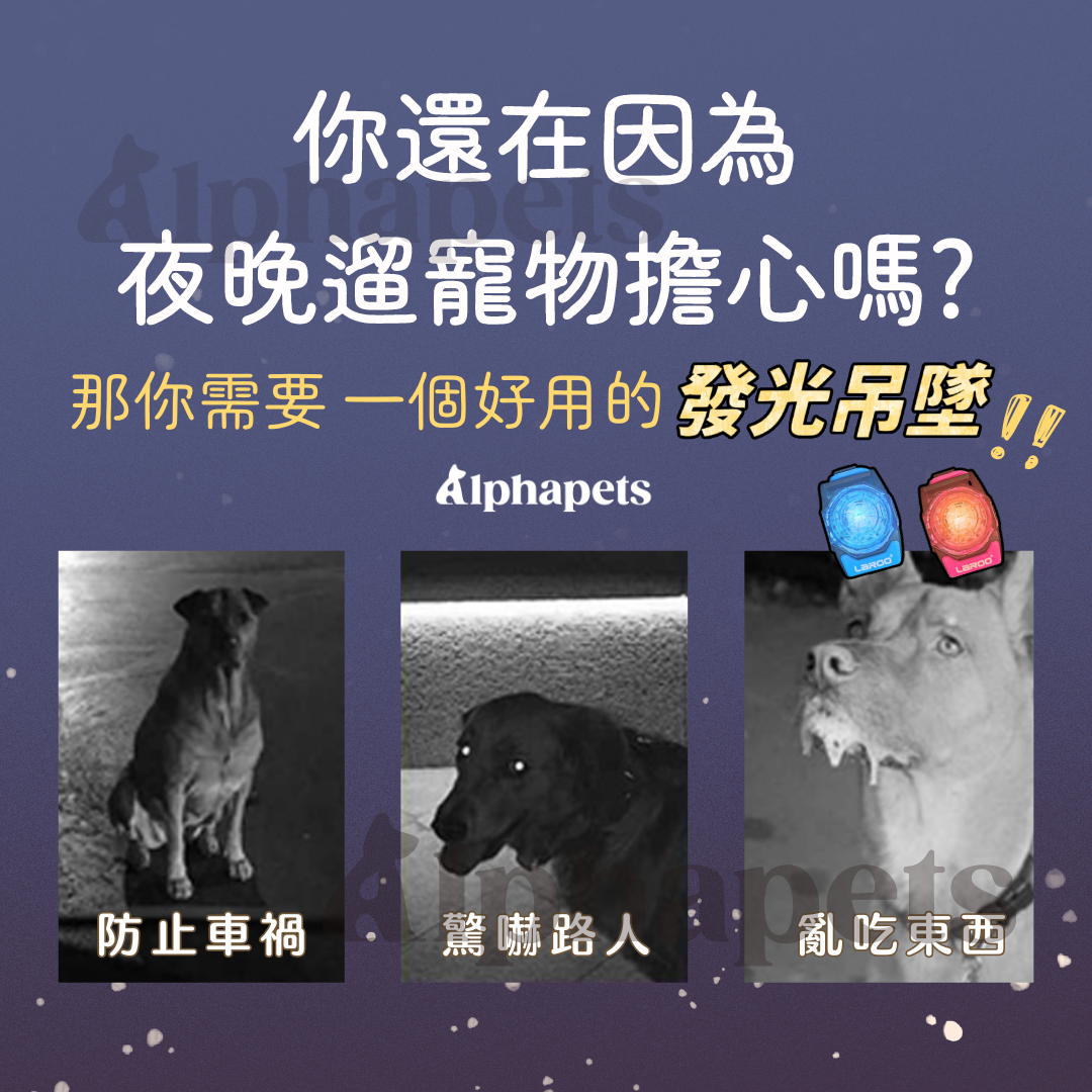 LaRoo 萊諾 魔幻森林發光吊墜 寵物發光項圈 防水 可切換發光模式