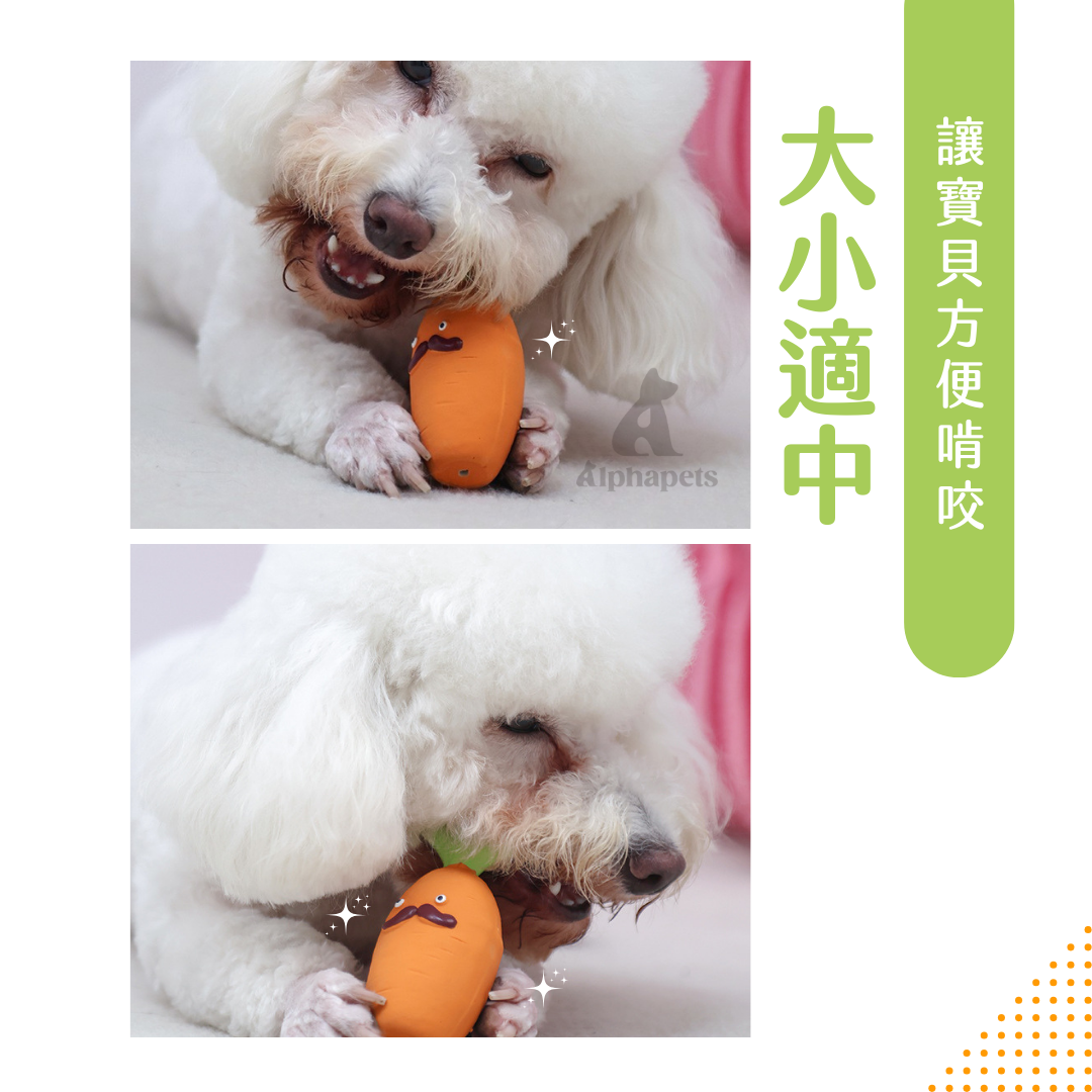 Q-MONSTER 蔬菜系列 乳膠玩具