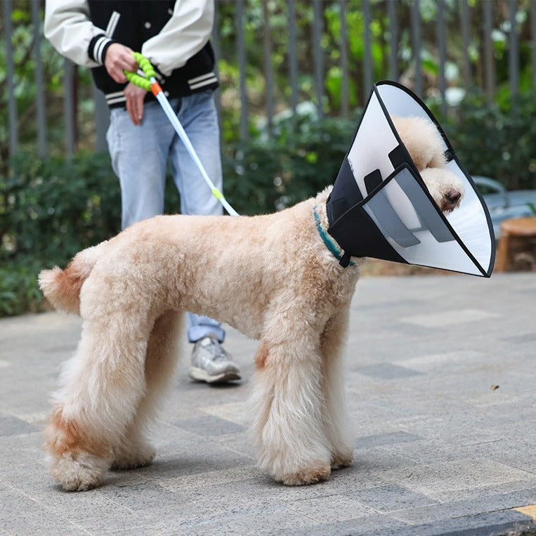 DogLemi 多樂米 可折疊伊麗莎白圈 防舔咬頸圈 頭套 4種尺寸