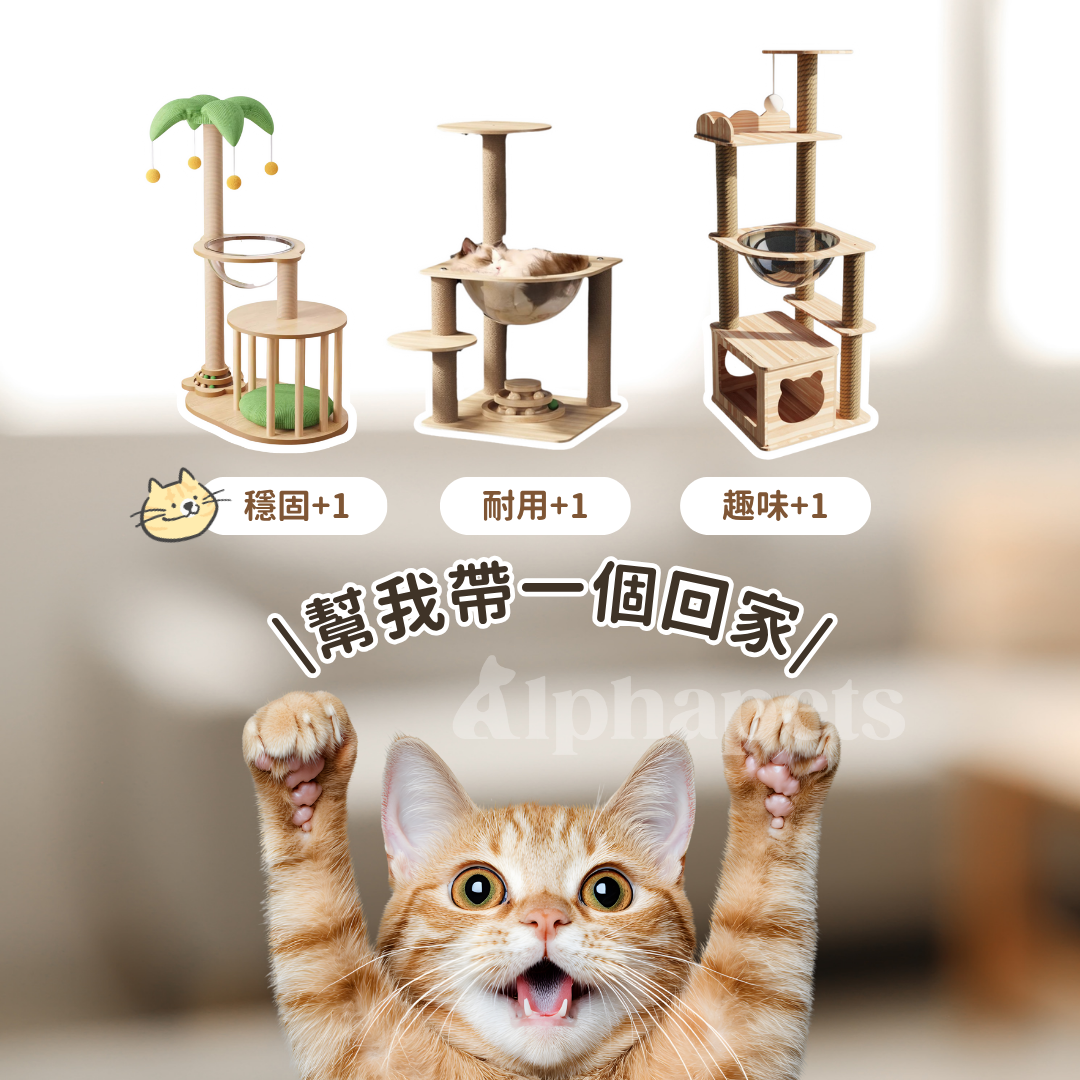 貓跳台 多種款式