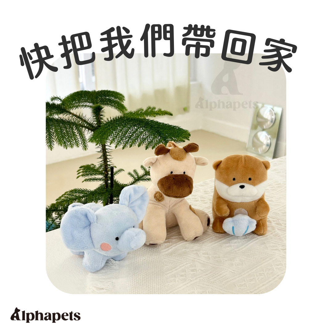 韓國MEANING 寵物發聲玩具 藏食玩具 長頸鹿 海獺 大象娃娃
