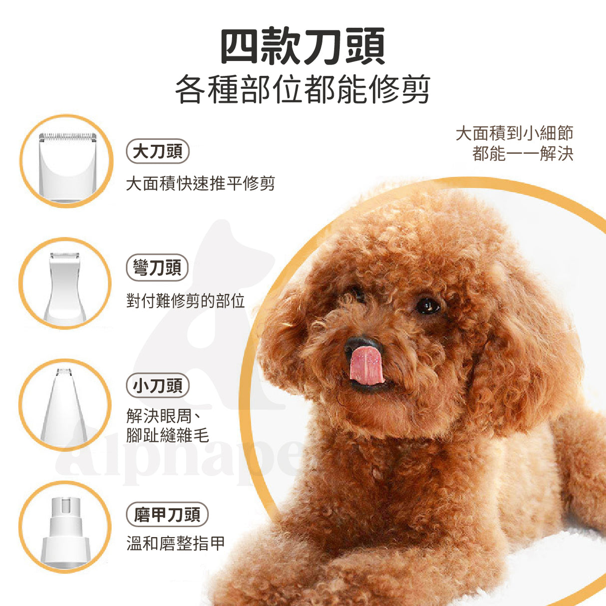 多功能寵物剃毛器 四合一剃毛刀 磨甲器