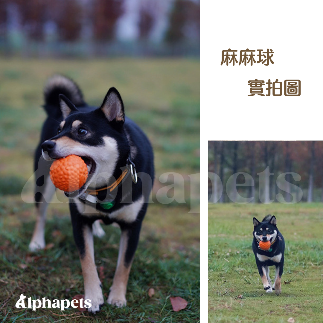 LaRoo 萊諾 假日系列 蹦蹦球 狗狗耐咬 彈力球玩具