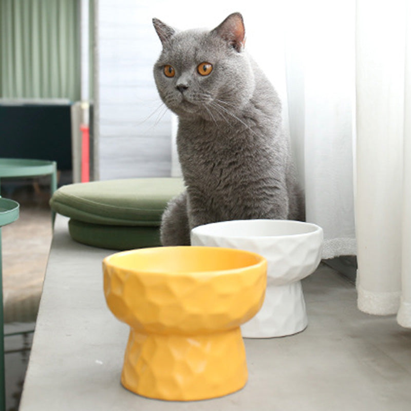 凹凸紋寵物陶瓷碗 斜口 / 平口 4色