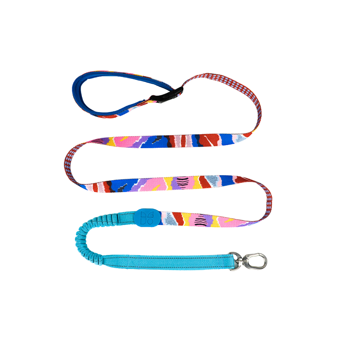 HiDREAM 繽紛PRO系列 X戰甲胸背帶 寵物胸背帶&牽繩 5款