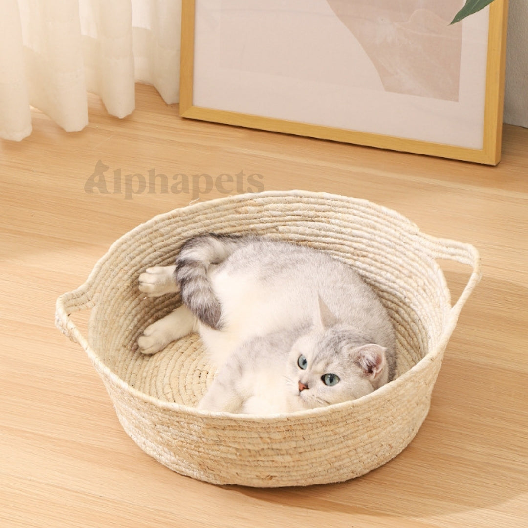 藤編寵物窩 4種款式