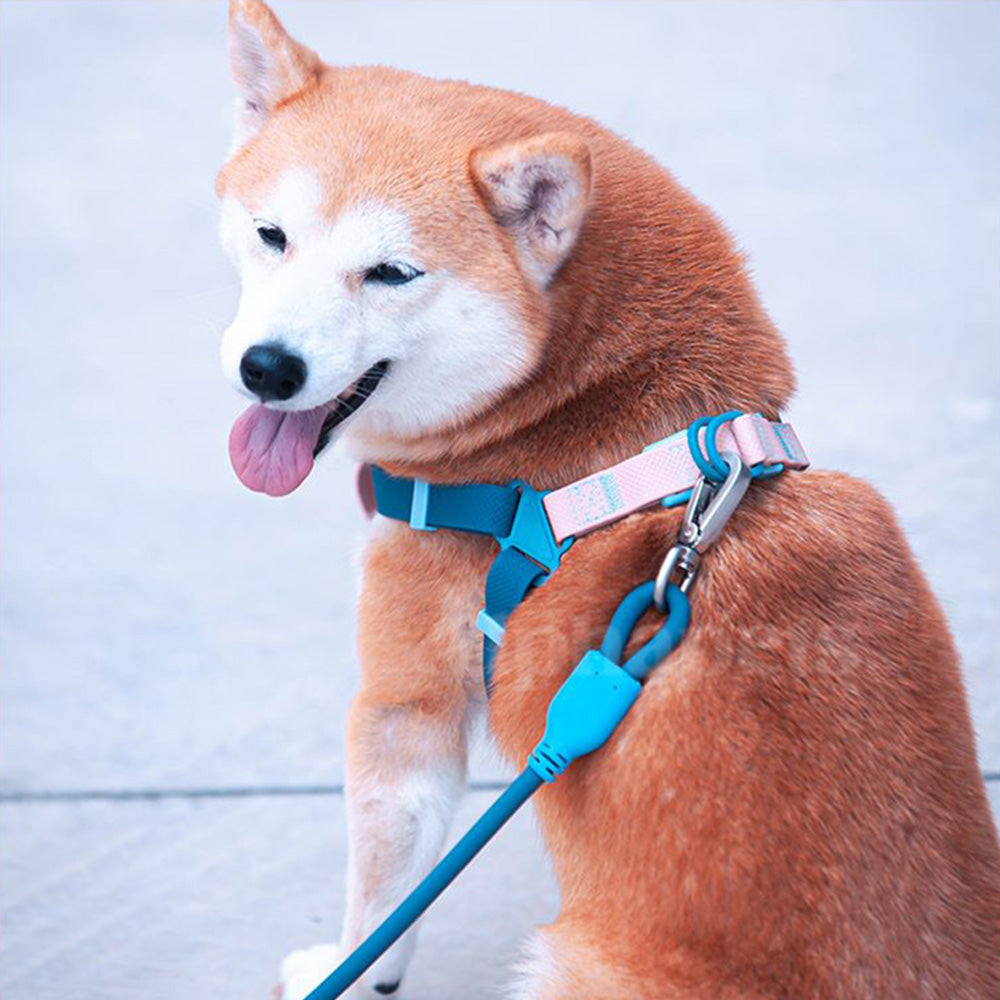 UNMIXED 活力MIX系列 PVC防水寵物項圈 2種尺寸