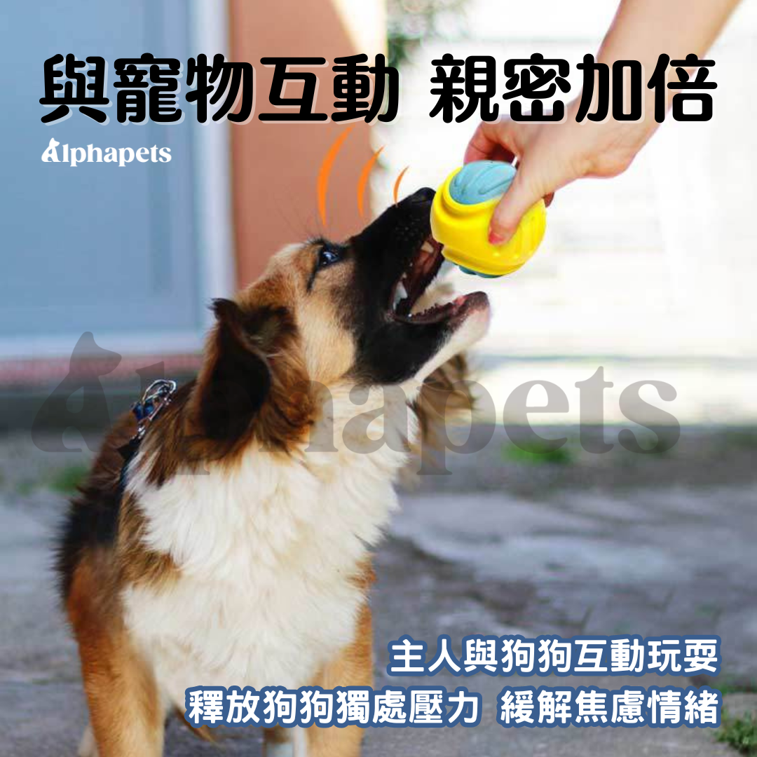 LaRoo 萊諾 假日系列 蹦蹦球 狗狗玩具球 寵物彈力球