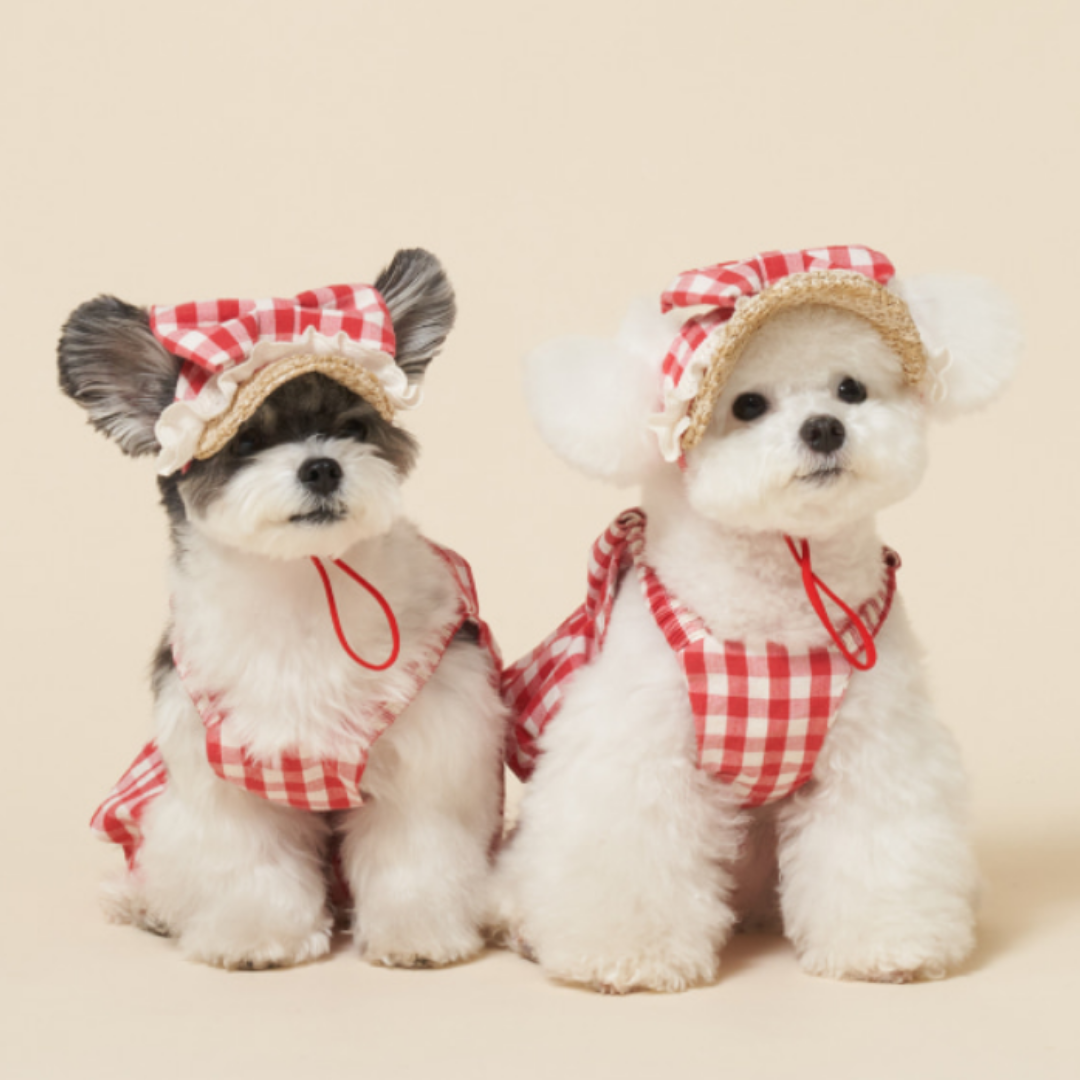 韓國MEANING 格紋蝴蝶結寵物帽 3種顏色