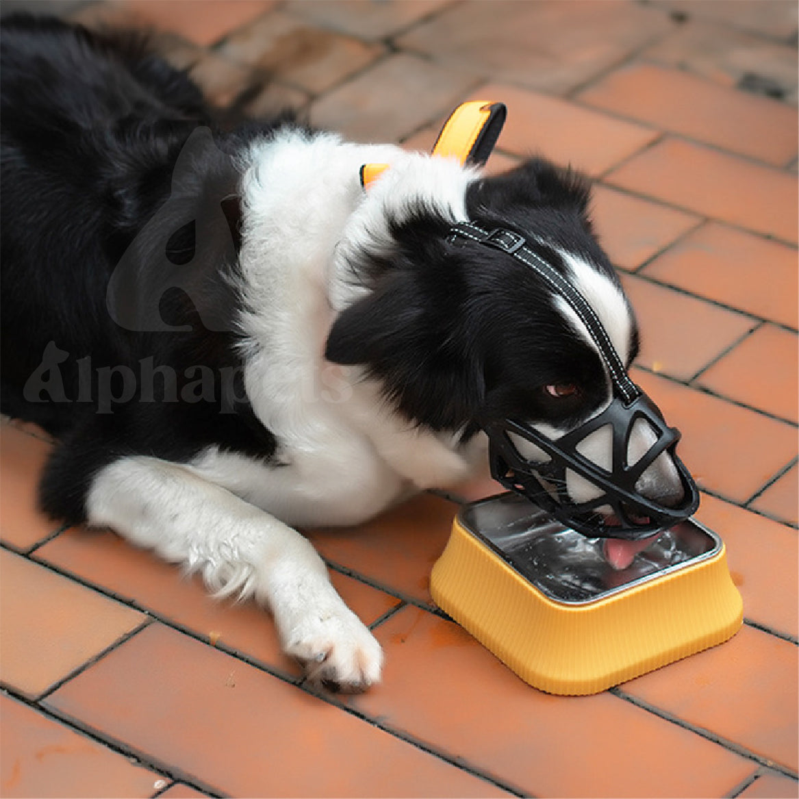 狗嘴套 寵物嘴套 有頭帶款 透氣可調節 3M反光織帶 S / M / L / XL